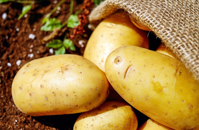 Fresh original potatoes.